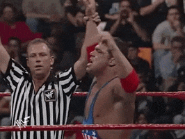 survivor series wrestling GIF by WWE