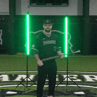 Parkside Baseball GIF by Parkside Athletics