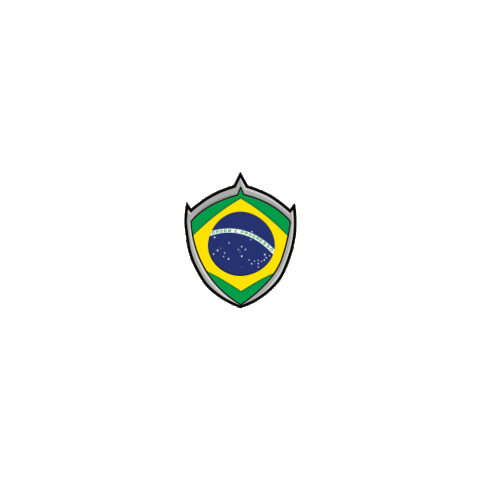 5V5 5V5Brasil Sticker by Gatorade