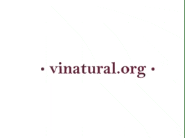 Wine Vino GIF by systaime