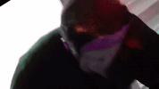 sunbeary GIF