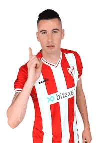 Boluspor roshi boluspor odise odiseroshi Sticker