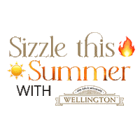 Summer Snack Sticker by Wellington Crackers