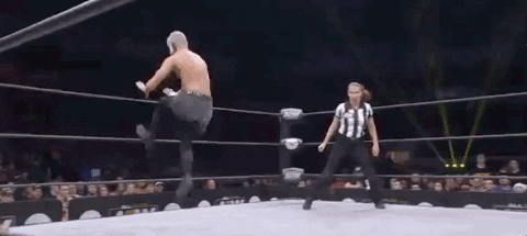Chris Jericho Aew On Tnt GIF by All Elite Wrestling on TNT