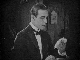rudolph valentino GIF by Maudit