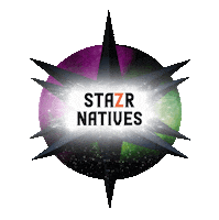 Art Artist Sticker by STAZR