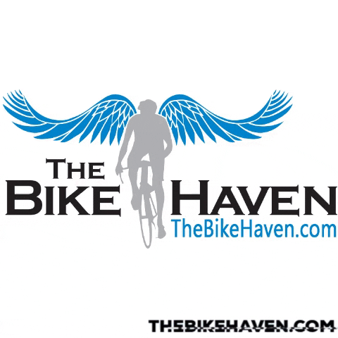 TheBikeHaven giphygifmaker bike wings rad GIF