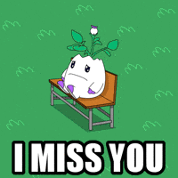 Lonely Love You GIF by Magic Eden