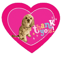 I Love You So Much Sticker by Camp Cocker Rescue