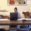Work From Home Pets GIF by The Dodo