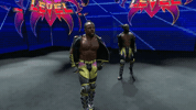 All In Wrestling GIF