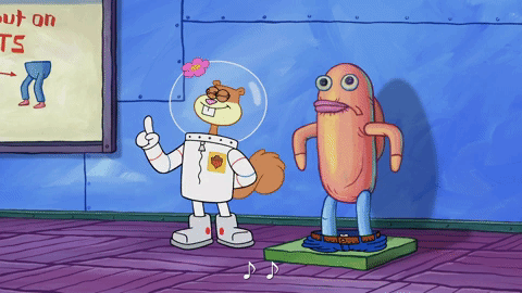 season 9 episode 25 GIF by SpongeBob SquarePants