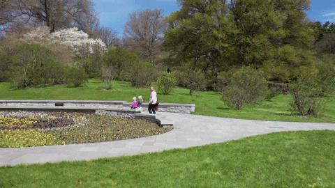 Dream School Flowers GIF by Rochester Institute of Technology