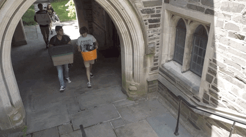 Princeton giphyupload college move stranger things GIF