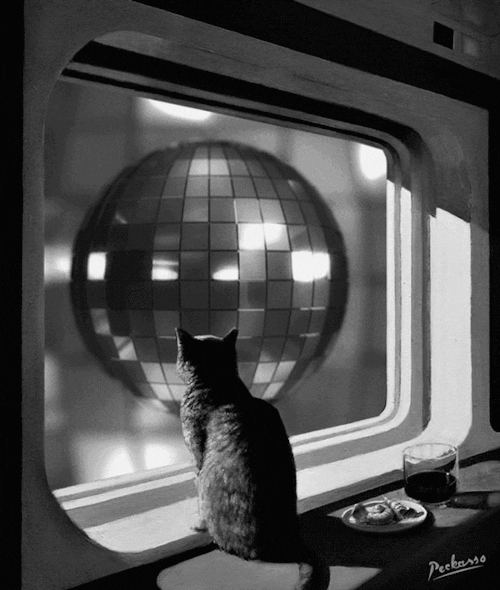kitty earth GIF by PEEKASSO