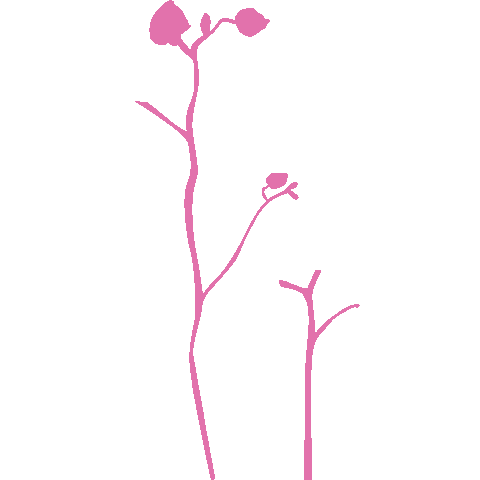 Makeup Flowers Sticker by Morphe