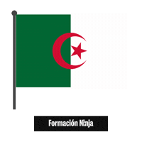 Algeria Flag Sticker by Formación Ninja