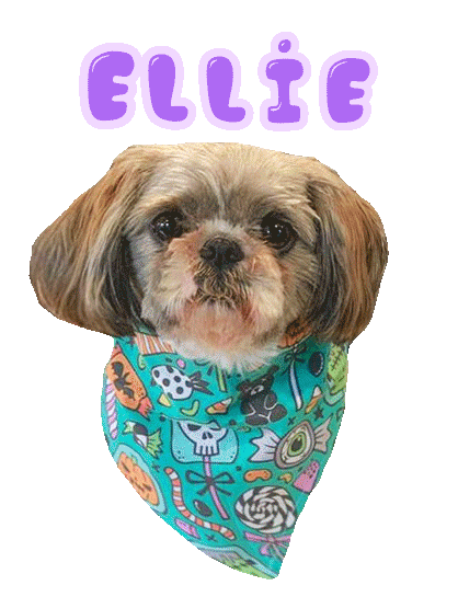 Dog Ellie Sticker