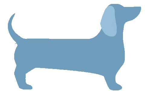 raumrevolution giphyupload newpost dachshund raumrevolution Sticker