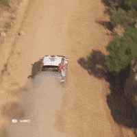 Driving Fast Car GIF by FIA World Rally Championship