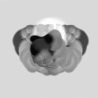 black and white art GIF by Ori Toor