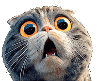Cat Shock Sticker