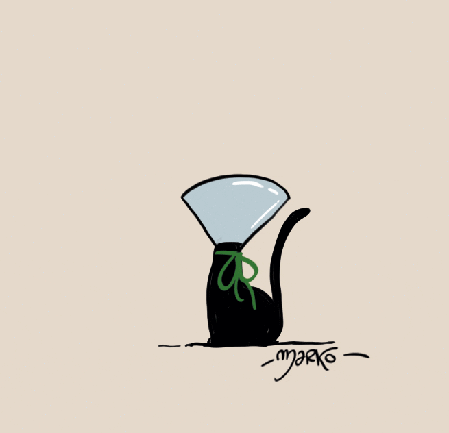 Cat GIF by marko