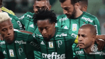 despedida ze roberto GIF by SE Palmeiras