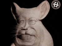 이재명 GIF