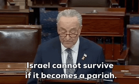 Chuck Schumer Israel GIF by GIPHY News