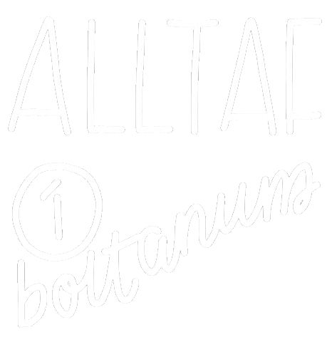 Krot Fotbolti Sticker