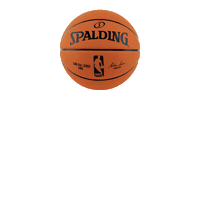 Spalding_Brasil  Sticker
