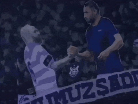 Formula 1 F1 GIF by TempInbox