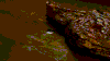 machine reverse GIF