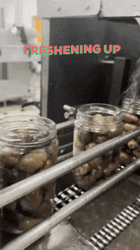 GAEAGREECE  GIF