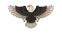 Banda Sticker by Pormade Online