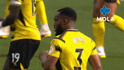 Premier League Football GIF by MolaTV