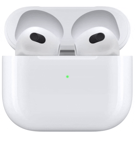 Bibzon giphyupload GIF