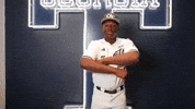 Georgia Tech Baseball GIF by Georgia Tech Yellow Jackets