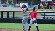 fayettevillewoodpeckers baseball milb fayetteville woodpeckers GIF