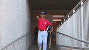 Happy Sport GIF by Fayetteville Woodpeckers