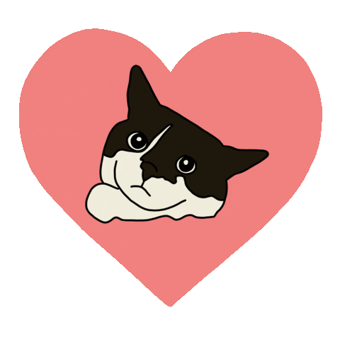 Tuxedo Cat Love Sticker