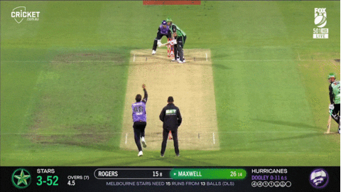 Melbourne Stars Cricket GIF by StarsBBL