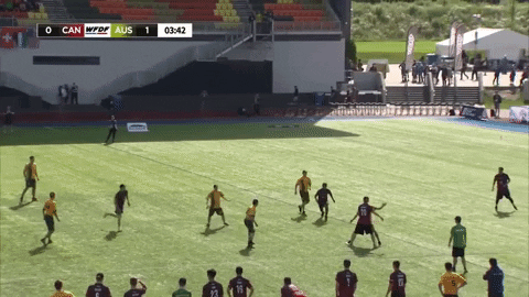 flikulti ultimate frisbee flik GIF