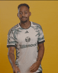Mls Portland GIF by Timbers