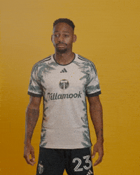 Mls Portland GIF by Timbers