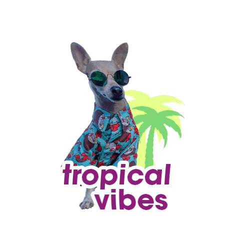 Vibes Td Sticker by Toy Doggie