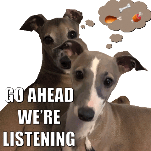 normanandpiper giphyupload dog transparency treats Sticker