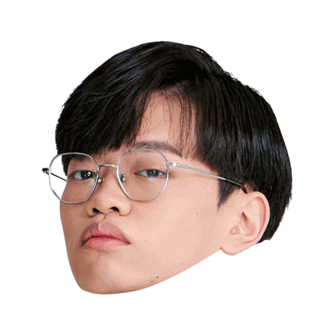 Fw Flashwolves Sticker