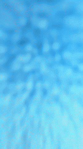 Bonnie Fivenightsatfreddys GIF by Youtooz